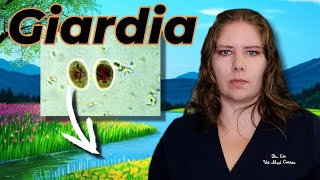 Giardia 101 Vets MustKnow Info for Pet Guardians [upl. by Rise45]