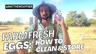 How to Clean and Store Farm Fresh Eggs [upl. by Jezabelle]