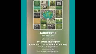 Kodachrome cover song Paul Simon [upl. by Bruyn]