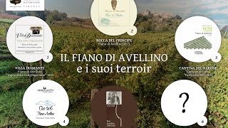 Il fiano di Avellino e i suoi terroir [upl. by Winou967]