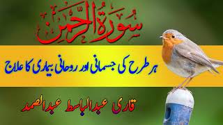 Surah rahman qari abdul basit  Surah Rahman with Urdu hindi translation  surahrahman [upl. by Solorac641]