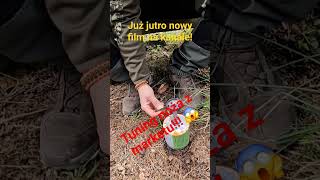 Zapowiedź filmu Tuning noża z marketu 😱 edc survival bushcraft forest survivalprep knife [upl. by Hansel]