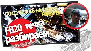 Двигатель Subaru FB20 Течь масла Разборка [upl. by Iroc]