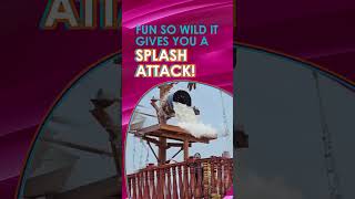 Brace yourself for Splash Attack at Dreamasia Water Park [upl. by Stephannie]