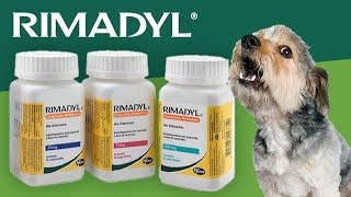 Rimadyl for Dogs [upl. by Ahseyn]