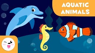 Aquatic Animals for kids  Vocabulary for kids [upl. by Horwitz]