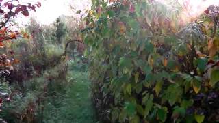 Bealtaine Cottage Permaculture [upl. by Melesa]