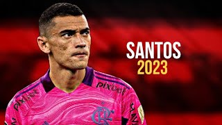 Santos • Melhores Defesas • 20232022  HD [upl. by Keeler]