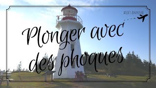 WEEKEND EN GASPÉSIE ⎮Plongée avec les Phoques et Croisière aux Baleines [upl. by Postman]