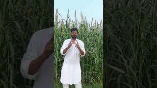 Top 3 Organic Farming Mistakes amp How to Avoid Them  Farming Tips by Vardaan Organics [upl. by Martell580]