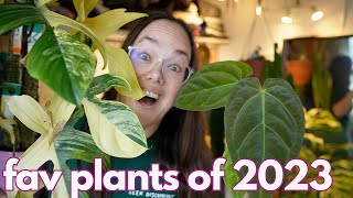 23 favourite plants of 2023  Plant with Roos [upl. by Stubbs223]