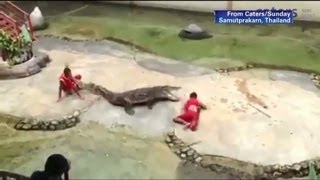 Crocodile bites down onto trainers head [upl. by Ailsun]