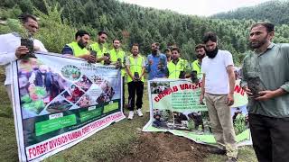 Plantation drive climate burring issue all over world [upl. by Randolf]