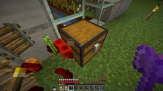 Minecraft 121 Survival Ep100  1213 quotMore Auto Farm Workquot [upl. by Klingel]