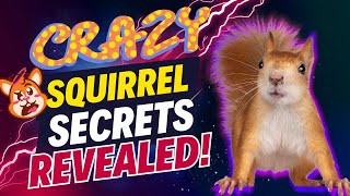 Youll Go Nuts Over These 🥜 10 Crazy Squirrel Facts [upl. by Itsym]