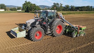 FENDT 720 GEN 7 BLACK AU SEMIS DE COLZA 2024  FENDT 720 amp AMAZONE 12 RANGS [upl. by Aicelaf740]