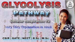 GLYCOLYSIS PATHWAY Explain in Detail  Hindi Explanation  Biochemistry [upl. by Gratia]