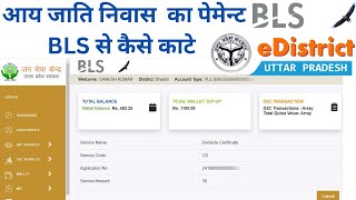 आय जाति निवास का पेमेन्ट BLS से कैसे काटे  bls e district aay jati niwas kaise payment kaise kare [upl. by Nnyltiak]