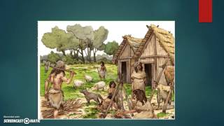 Neolithic Revolution Review [upl. by Zennie351]