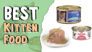 Top 5 Best Kitten Food  Do Kittens Need Wet and Dry Food [upl. by Albertson]