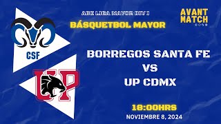 LIGA MAYOR ABE VARONIL DIV I EN VIVO 🔴  BORREGOS CSF VS UP CDMX  AVANT MATCH [upl. by Ainessej]