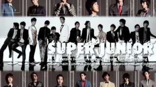 HQ Super Junior 슈퍼주니어 Sorry Sorry Remix Version [upl. by Llednav]