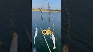 Is the ARig the Most Overpowered Fishing Lure on the Market [upl. by Berthoud97]