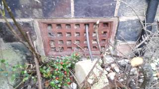 Wasps nest treatment air brick [upl. by Zilada]