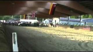 21 DSHV Shire Horse Show Gut Neuhof Alpenrod  Rein in Flammen [upl. by Chui]