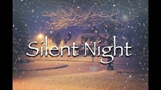 Silent Night  Instrumental [upl. by Anthiathia362]