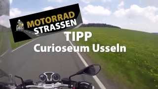 MS Tipp Curioseum  Willingen [upl. by Manley173]