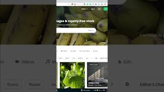 How to download images from pixabay free ©🔥😮 pixabay copyrightfree imege [upl. by Julieta]