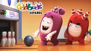 Oddbods  Negado para los Deportes  Dibujos Animados Graciosos Para Niños [upl. by Hertha209]