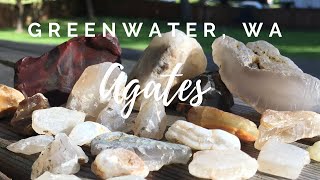 Greenwater Wa Agate Hunting  Rockhounding for Black Agate Chalcedony Jasper Petrified Wood [upl. by Kingdon731]