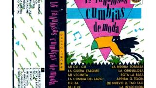 Grupo Tucan  Mi Vecinita Cumbia [upl. by Aihsaei316]