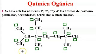 Actividades ¿Cómo dominar e identificar el carbón primario secundario terciario y cuaternario [upl. by Eladnek]