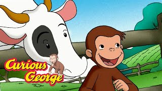 George Loves Cows 🐵 Curious George 🐵 Kids Cartoon 🐵 Kids Movies [upl. by Kruse]