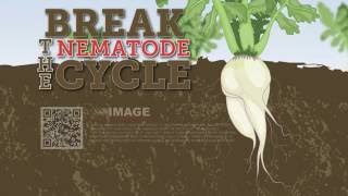 How Image Radishes Control Nematodes [upl. by Pulsifer]