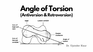 Angle of Torsion [upl. by Eedak133]