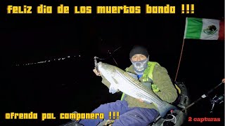 pesca de striped bass [upl. by Kelwin]