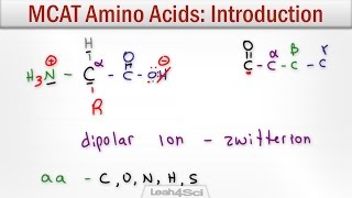 Amino Acids Intro to Structure Charge Classification and Reactions [upl. by Anual]