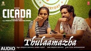 Thulaamazha Audio Song  CICADA  Sreejith Edavana Aparna Rajeev  Vandana Menon Vivek Muzhakkunnu [upl. by Boser]