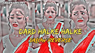 LOFI SONGdard halke halke ba salow reverse song Pawan sing ka salow reverse song [upl. by Bauske]