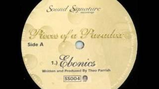 Theo Parrish  Ebonics [upl. by Ohnuj126]