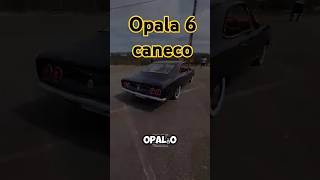 Opala 4100 cc 6 caneco amplificador [upl. by Lleret]