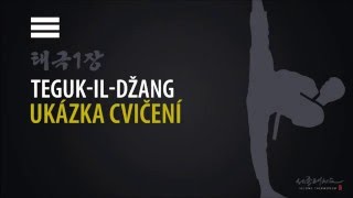 TAEGUK 1 JANG Tegukildžang UKÁZKY CVIČENÍ [upl. by Mitchel]