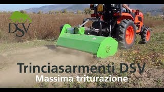 Trinciasarmenti quotTTSquot DSV [upl. by Parthenia]