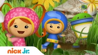 Team Umizoomi  Theme Song  Stay Home WithMe  Nick Jr [upl. by Rotow]