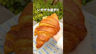 【巨大クロワッサン🥐】麻布台ヒルズ クロワッサンパン東京グルメパン屋 [upl. by Renata164]