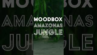 Jolifin MoodBox August  Amazonas Jungle [upl. by Claudina]